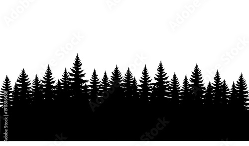 Evergreen Forest Skyline Silhouette Black Fir and Spruce Trees Vector Illustration