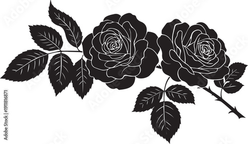 rose, branch, luxury, elegant, floral, botanical, foliage, leaf, stem, blossom, bloom, nature, plant,