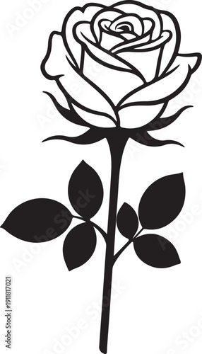 rose, floral, minimal, elegant, simple, botanical, blossom, bloom, foliage, leaf, stem, nature, plant