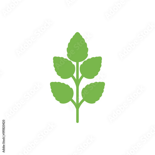 Lemon Balm Botanical Flat Illustration with Bold Leaf Shapes and Simple Stem Structure 2D Vector