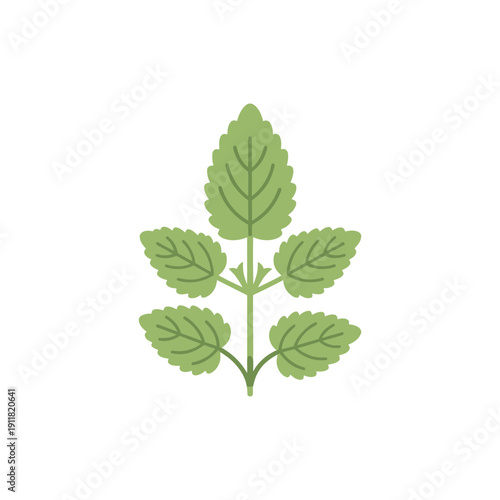 Lemon Balm Botanical Icon with Flat Solid Color Herbal Design, 2D Vector Illustration