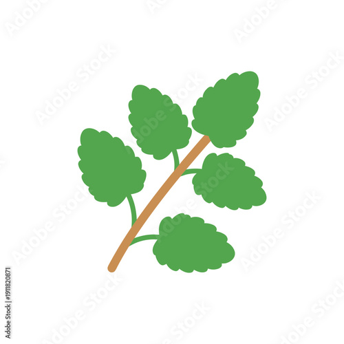 Lemon Balm Herb with Bold Silhouette and Solid Fills Botanical Plant Illustration
