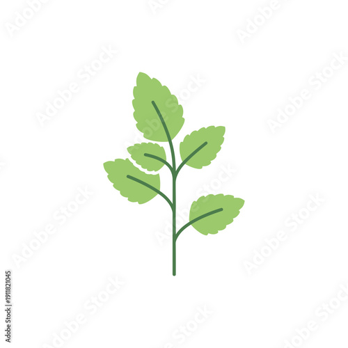Lemon Balm Herb Flat Illustration with Minimal Clean Shapes, Modern Botanical Vector Design