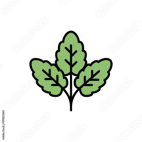 Lemon Balm Herb Flat Illustration with Rounded Leaf Shapes, Bold Fills Botanical Vector Design