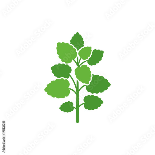Lemon Balm Herb Icon Bold Flat Colors Clear Plant Shape Vector Illustration
