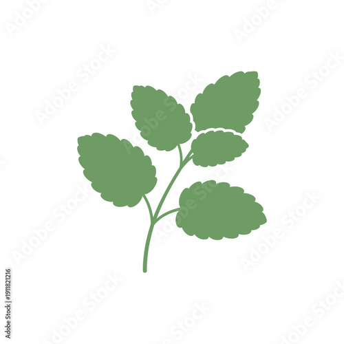Lemon Balm Herb Icon Showing Clean Modern Flat Herb Illustration Vector
