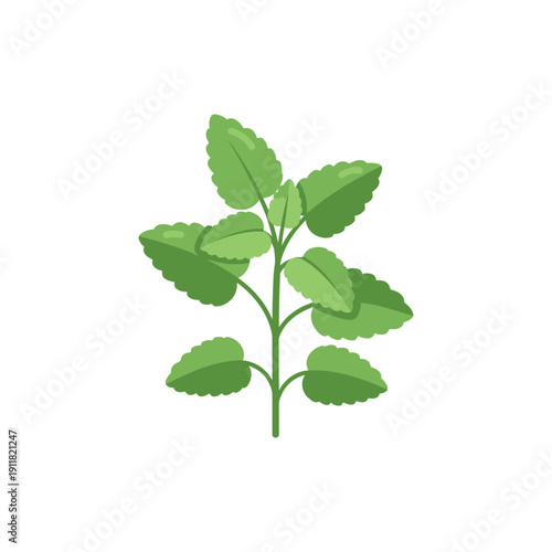 Lemon Balm Herb Icon with Flat Vector Look and Smooth Solid Colors 2D Illustration