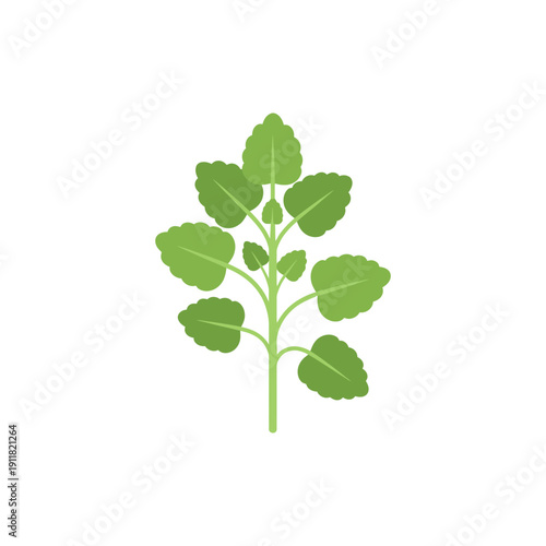 Modern Lemon Balm Herb Icon with Clean Flat Design 2D Vector Illustration