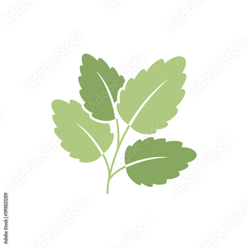Lemon Balm Herb Icon with Calm Organic Flow Flat 2D Vector Illustration