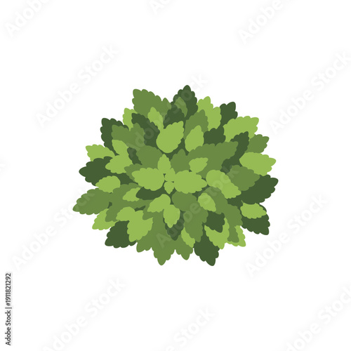 Lemon Balm Herb Icon with Compact Rounded Silhouette Colorful Flat 2D Vector Illustration