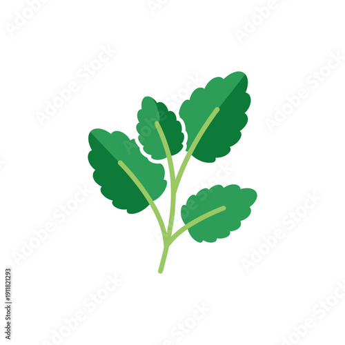 Lemon Balm Herb Icon with Clean Modern Flat Style and Bold Greens 2D Vector Illustration