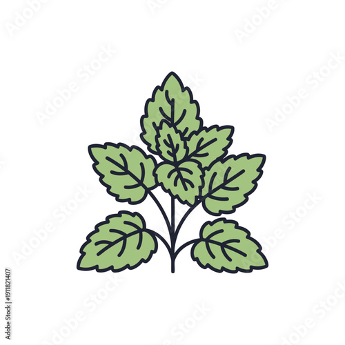 Lemon Balm Plant with Stylized Leaf Clusters and Minimal Stems, Flat 2D Botanical Illustration