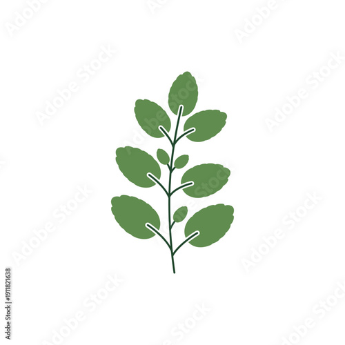 Lemon Balm Plant Minimal Flat Botanical Detail Herbal 2D Vector Illustration