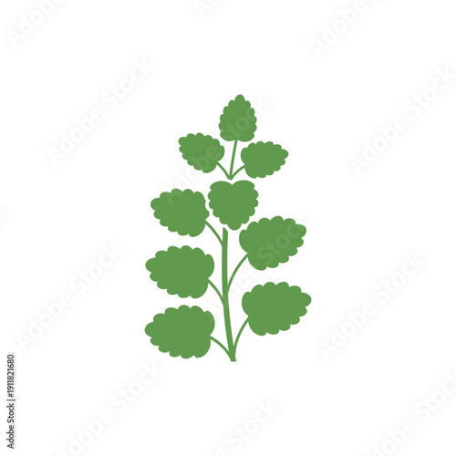 Lemon Balm Plant Icon Showing Clean Friendly Flat Plant Illustration Vector Art
