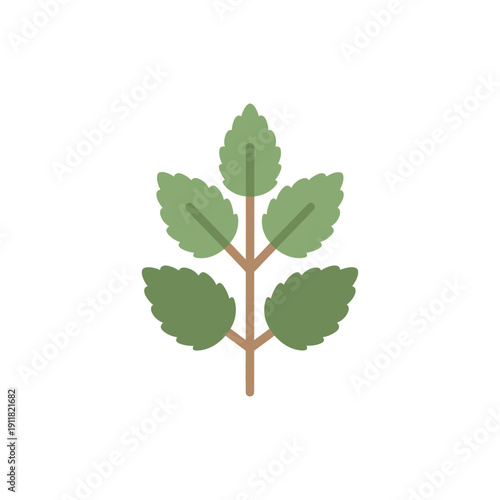 Lemon Balm Plant Icon Showing Calm Natural Feel Flat Solid Color Botanical Vector