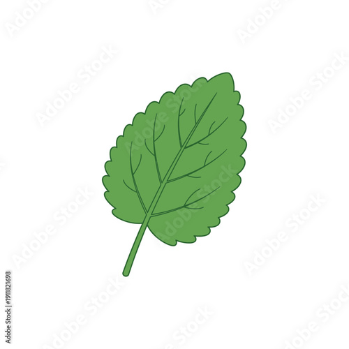 Lemon Balm Plant Icon with Closeup Leaf Focus Flat Solid Color Botanical Vector