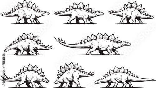 Stegosaurus Dinosaur Line Art Bundle