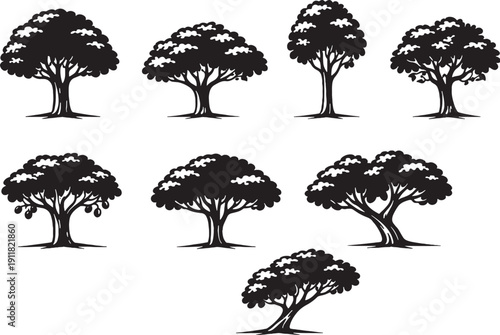 Sapodilla Tree Line Art Bundle Black White