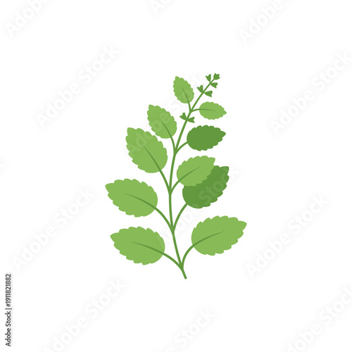 Lemon Balm Plant Icon with Simplified Herbal Form Flat Solid Color Botanical Illustration