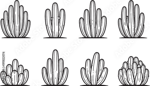 Organ Pipe Cactus Line Art Bundle Black White Icons