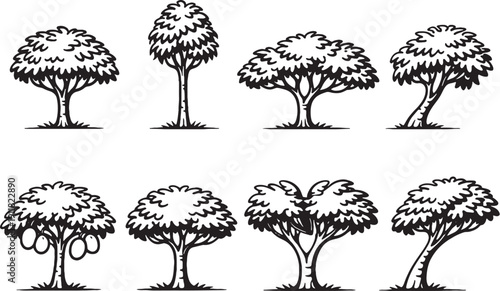 Custard Apple Tree Line Art Icon Bundle Black and White