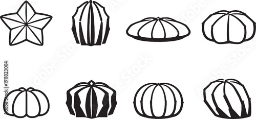 Bishops Cap Cactus Line Art Bundle Astrophytum Icons