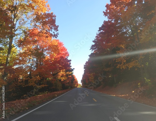 Vibrant fall foliage pathway with red and orange high resolution picture