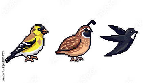 Colorful pixel art birds: goldfinch, quail, and swallow side by side
