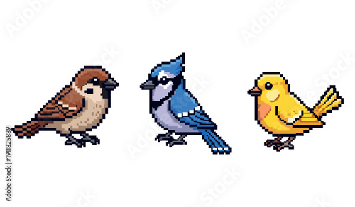 Pixel art birds: sparrow, blue jay, and canary on white background
