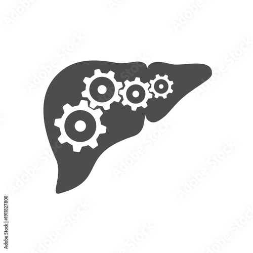 Healthy human liver graphic icon. Liver with gears working together sign. Abstract symbol isolated on white background. Vector illustration