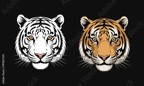 White tiger and orange tiger heads on black background animal