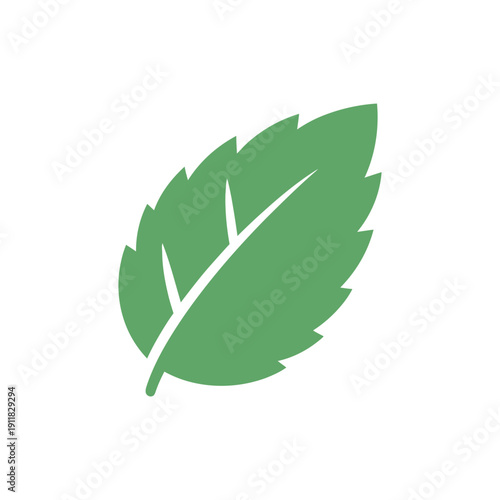 Flat Mint Leaf with Folded Tip Botanical Herbal Vector Illustration