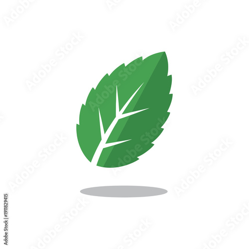 Single Mint Leaf with Shadow Flat 2D Herbal Plant Vector Illustration