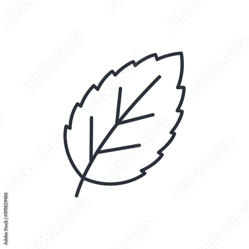 Mint Leaf with Subtle Vein Lines Flat 2D Herbal Botanical Vector Illustration
