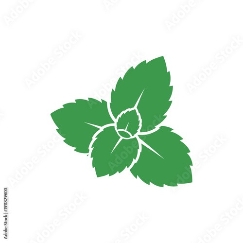 Minimalist Mint Leaf with Bold Solid Green Flat Herbal Botanical Vector Illustration