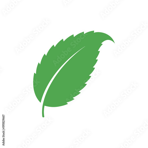 Single Mint Leaf with Curved Tip Green Herbal Flat 2D Vector Illustration