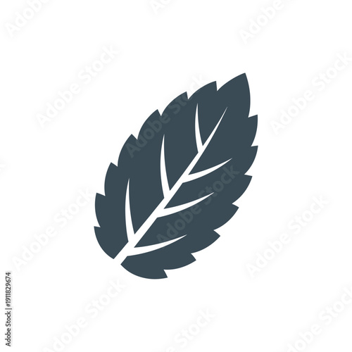 Single Mint Leaf with Jagged Edges Solid Green Herbal Flat 2D Vector Icon