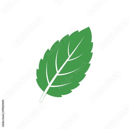 Single Mint Leaf with Serrated Edges Solid Green Herbal Flat 2D Vector Illustration