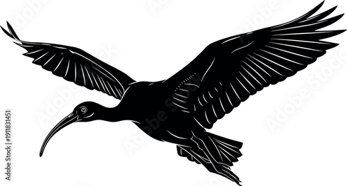 Black ibis bird silhouette, flying with wings spread wide, long curved beak profile, isolated vector wildlife illustration design element concept