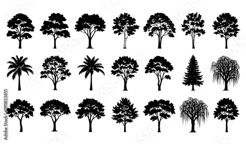 Detailed Tree Silhouettes Collection Vector Set Isolated Botanical Forest Shapes