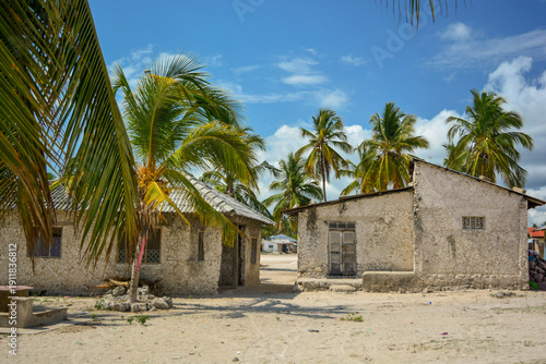 Traditional houses in Zanzibar village with palm trees