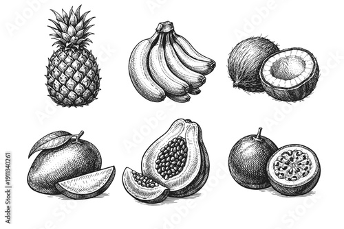 Vintage tropical fruits engraving set, antique exotic food sketch with pineapple, coconut, banana and papaya in woodcut style