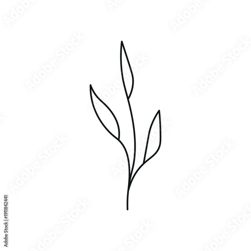 Hand Drawn Line Leaves