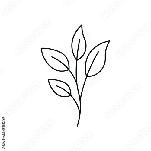 Hand Drawn Line Leaves