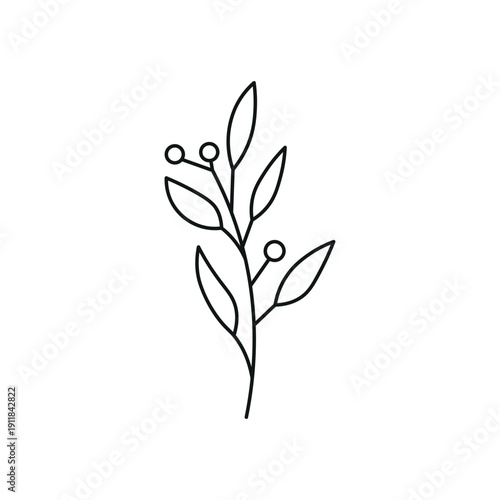 Hand Drawn Line Leaves