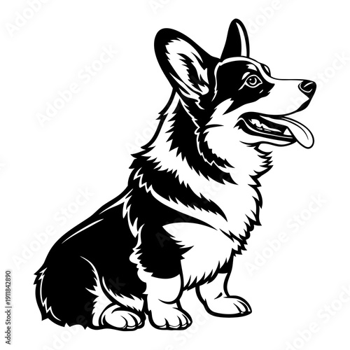 Cute corgi dog vector illustration in clean black and white line art