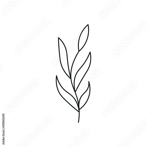 Hand Drawn Line Leaves