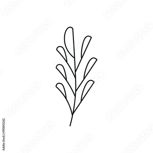 Hand Drawn Line Leaves
