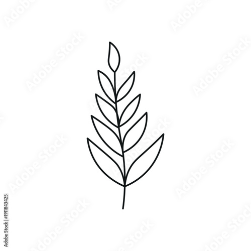 Hand Drawn Line Leaves