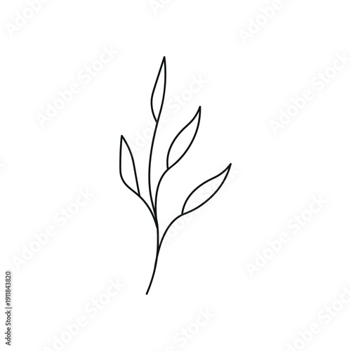 Hand Drawn Line Leaves